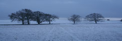 Winter in Glenalmond, Perthshire, Scotland