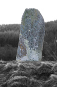 Standing Stone at Auchingarrich Wildlife Park near to Comrie, Perthshire, Scotland