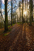 Near to the Bin Tower, Perth, Perthshire, Scotland