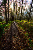 Near to the Bin Tower, Perth, Perthshire, Scotland