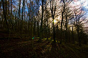 Near to the Bin Tower, Perth, Perthshire, Scotland