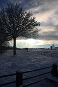 Walking on a winter afternoon on the North Inch at Perth, Perthshire, Scotland