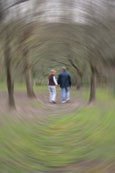 Part three of the trilogy matching with "Young Love" and "Enduring Love".  This photograph was taken on the Quarrymill Woodland Walk near to Scone Palace, Scone, Perthshire, Scotland