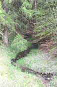 A burn meandering its way through Taymount Forest near Stanley, Perthshire, Scotland