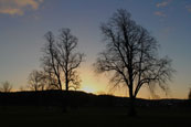 Dawn rising in late November over the North Inch at Perth, Perthshire, Scotland