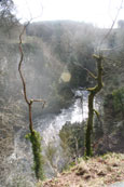 Photograph of the Gorge at the Reekie Linn on the River Isla in Angus, Scotland