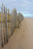 The West Sands at St Andrews, Fife, Scotland