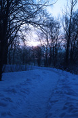 Path on Moncreiffe Island on the River Tay at Perth, Perthshire, Scotland