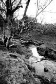 A photograph of Balthayock Burn, Perthshire, Scotland