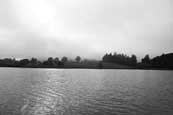 Balthayock Loch near to perth, Perthshire, Scotland