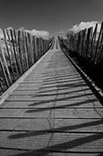 The boardwalk to Lunan Bay Beach, Lunan Bay, Angus, Scotland
