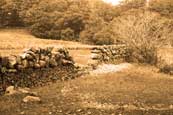 A broken down Dry Stane Dyke bordering Tollaidh Bay on Loch Maree, Wester Ross, Scotland