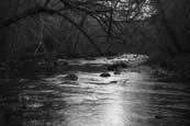 The River Almond in Glenalmond, Perthshire, Scotland