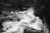 The River Findhorn near to Randolphs Leap on Altyre Estate near Forres, Morayshire, Scotland