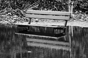 A park bench in the flooded Norrie Miller Walk on the banks of the River Tay at Perth, Perthshire, Scotland