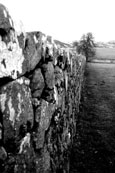 This photograph comes from the grounds of Balvaird Castle, Perthshire, Scotland