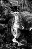 This small waterfall is to be found at The Hermitage, Dunkeld, Perthshire, Scotland