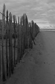 The West Sands at St Andrews, Fife, Scotland