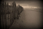 The West Sands at St Andrews, Fife, Scotland