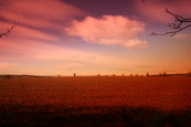 A view northwest from Blue Skey Experiences at Bachilton Farm near to Methven, Perthshire, Scotland