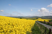 The junction of the Rivers Tay and Earn taken from near Rhynd, Perthshire, Scotland