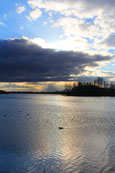 Forfar Loch, Forfar, Angus, Scotland