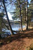 Lairds Loch at Tullybaccart near to Coupar Angus, Perthshire, Scotland