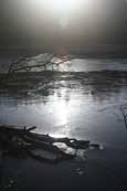 Lairds Loch at Tullybaccart near to Coupar Angus, Perthshire, Scotland