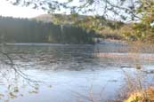 Lairds Loch at Tullybaccart near to Coupar Angus, Perthshire, Scotland