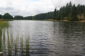 Ledcrieff Loch, Tullybaccart, Perthshire, Scotland