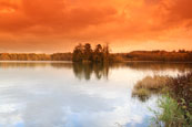 The Island on Loch Cluny, Near Blairgowrie, Perthshire, Scotland