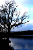 Loch Cluny near Blairgowrie, Perthshire, Scotland