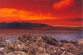 Loch Ewe, from Inverewe Gardens near Poolewe, Wester Ross,  Scotland