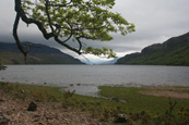 Loch Maree, Wester Ross, Scotland