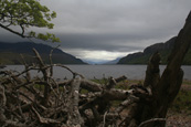 Loch Maree, Wester Ross, Scotland