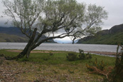 Loch Maree, Wester Ross, Scotland