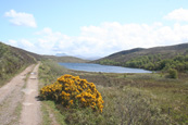 Loch na h-Innse Gairbhe on Inverasdale Estate,  Wester Ross, Scotland