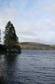 Loch of Lintrathen, Angus, Scotland