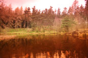 The Old Curling Pond of Kinfauns Castle Estate to be found in Deuchney Woods near to Kinnoull Hill, Perth, Perthshire, Scotland