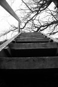 Stairway on the banks of the River Findhorn at The Meads near Forres, Morayshire, Scotland