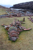 One of several stone sculptures to be found near Mellon Udrigle Beach, Wester Ross, Scotland