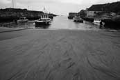 Balintoy Harbour, County Antrim, Northern Ireland