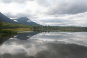 Photographs of Scotland are NOT to be found in this gallery!  Let this photograph of Smithers Lake in British Columbia, Canada prove to you that I do sometimes travel outside Scotland!