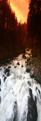 The River Braan immediately above the falls at The Hermitage, Dunkeld, Perthshire, Scotland