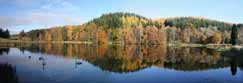 Balthayock Loch near Perth, Perthshire, Scotland