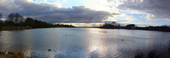 Forfar Loch, Forfar, Angus, Scotland