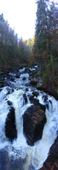 The Falls on the River Braan at The Hermitage, Dunkeld, Perthshire, Scotland