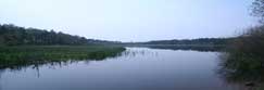 King's Myre Loch in Taymount Forest near to Stanley, Perthshire, Scotland