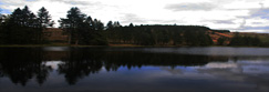 Ledcrieff Loch at Tullybaccart, Perthshire, Scotland