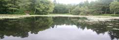 Loch Dunmore beside Loch Faskally, Pitlochry, Perthshire, Scotland